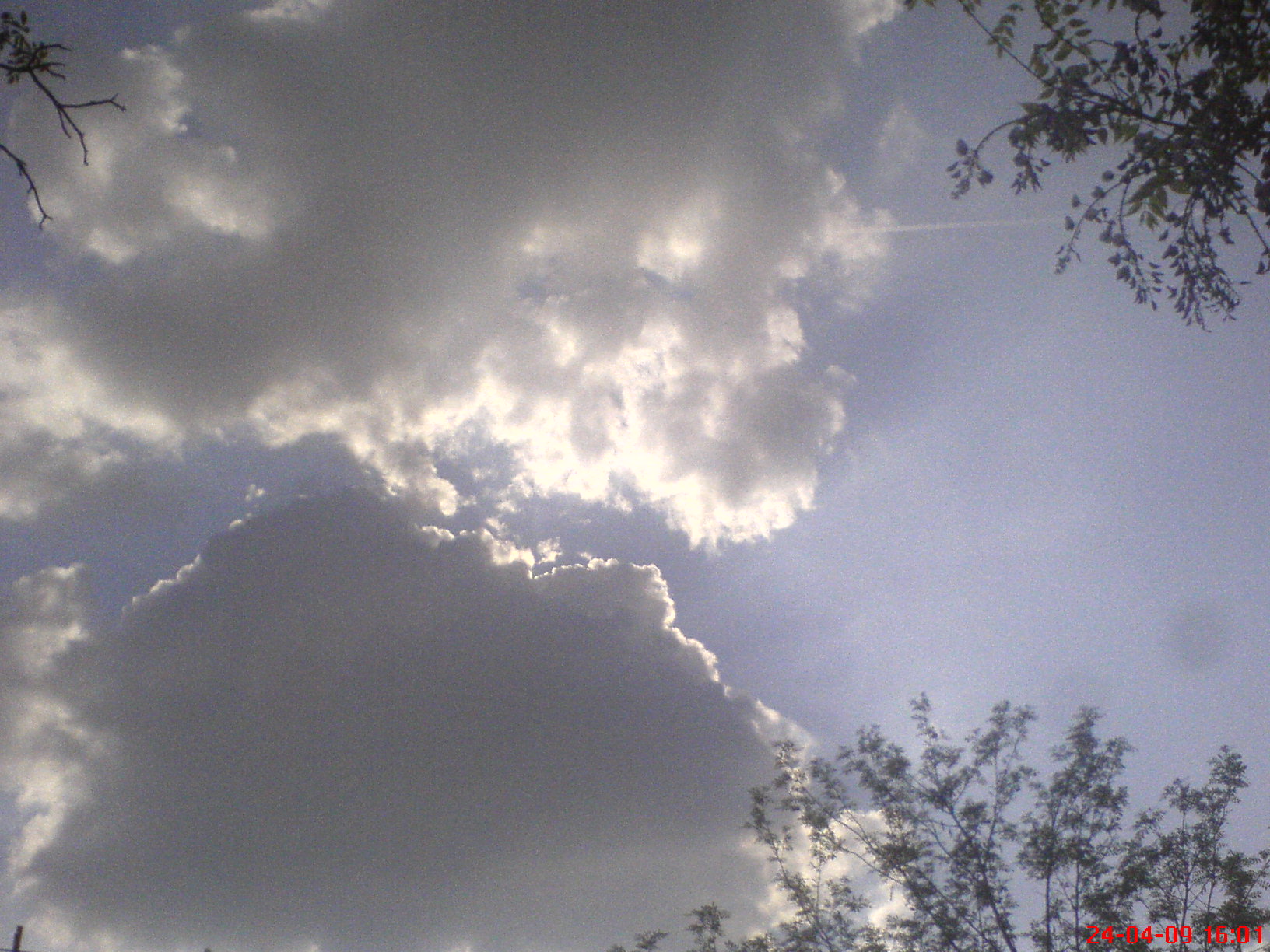 DSC02454.JPG